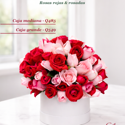 Velvet Amour – Caja de Rosas Rojas & Rosadas