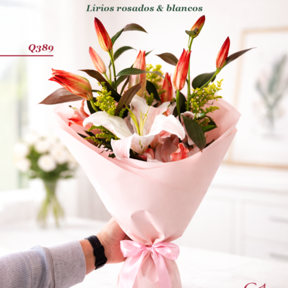 Aurora – Lirios Rosados & Blancos