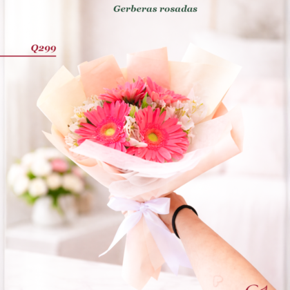 Rosé Bloom – Gerberas Rosadas